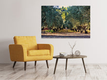 Load image into Gallery viewer, Canvas print Magnificent olive trees