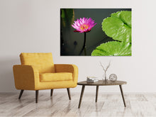 Load image into Gallery viewer, Canvas print Lotus flower in pink