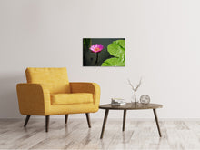 Load image into Gallery viewer, Canvas print Lotus flower in pink