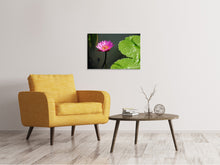 Load image into Gallery viewer, Canvas print Lotus flower in pink