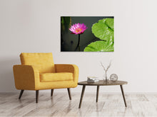 Load image into Gallery viewer, Canvas print Lotus flower in pink