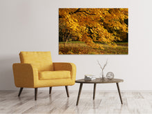 Load image into Gallery viewer, Canvas print The magnificent autumn tree