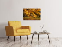 Load image into Gallery viewer, Canvas print The magnificent autumn tree
