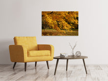 Load image into Gallery viewer, Canvas print The magnificent autumn tree