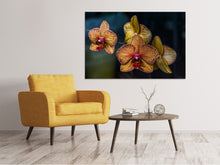 Load image into Gallery viewer, Canvas print Orchidaceae