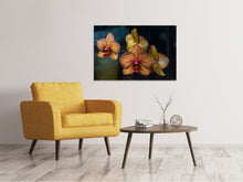 Load image into Gallery viewer, Canvas print Orchidaceae
