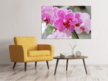 Load image into Gallery viewer, Canvas print Purple orchids in bloom