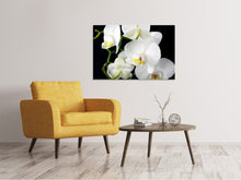 Load image into Gallery viewer, Canvas print Orchid close up