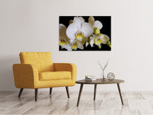 Load image into Gallery viewer, Canvas print White orchids in bloom