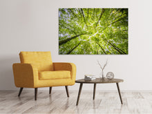 Load image into Gallery viewer, Canvas print Under the treetops