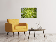 Load image into Gallery viewer, Canvas print Under the treetops