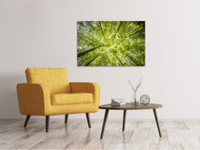Load image into Gallery viewer, Canvas print Under the treetops