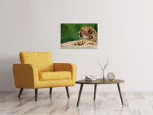 Load image into Gallery viewer, Canvas print XL cheetah