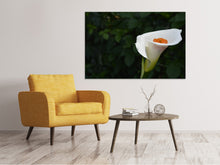 Load image into Gallery viewer, Canvas print XL Calla in white