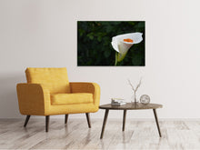 Load image into Gallery viewer, Canvas print XL Calla in white