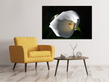 Load image into Gallery viewer, Canvas print Wonderful calla