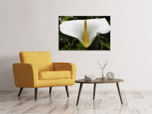 Load image into Gallery viewer, Canvas print Macro calla in white