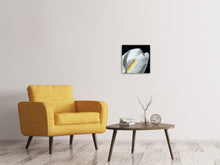 Load image into Gallery viewer, Canvas print Calla Close up in white