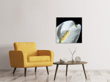 Load image into Gallery viewer, Canvas print Calla Close up in white