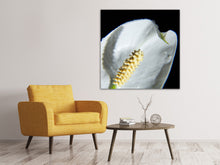 Load image into Gallery viewer, Canvas print Calla Close up in white