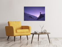 Load image into Gallery viewer, Canvas print The snowwalker