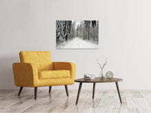 Load image into Gallery viewer, Canvas print Snow in the forest