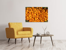 Load image into Gallery viewer, Canvas print Fresh mandarins
