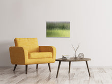 Load image into Gallery viewer, Canvas print Satined glass