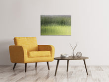 Load image into Gallery viewer, Canvas print Satined glass
