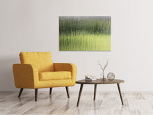 Load image into Gallery viewer, Canvas print Satined glass