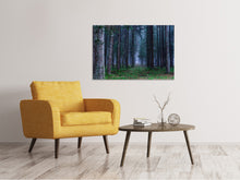 Load image into Gallery viewer, Canvas print Fir trees forest