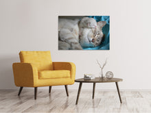 Load image into Gallery viewer, Canvas print Cats mom with baby