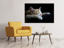 Load image into Gallery viewer, Canvas print Lazy cat