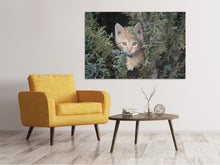 Load image into Gallery viewer, Canvas print Tiger Kitten