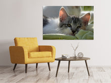 Load image into Gallery viewer, Canvas print In love with kitten