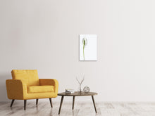 Load image into Gallery viewer, Canvas print The peace lily