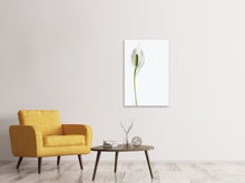 Load image into Gallery viewer, Canvas print The peace lily