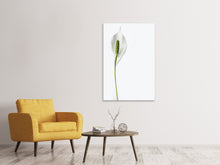 Load image into Gallery viewer, Canvas print The peace lily