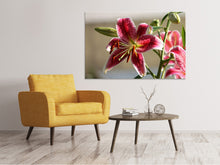 Load image into Gallery viewer, Canvas print Close up lily in red
