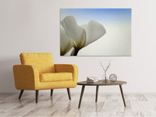 Load image into Gallery viewer, Canvas print The leaf of a lily blossom