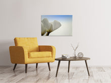 Load image into Gallery viewer, Canvas print The leaf of a lily blossom