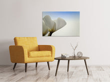 Load image into Gallery viewer, Canvas print The leaf of a lily blossom
