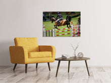 Load image into Gallery viewer, Canvas print The show jumper