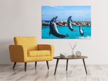 Load image into Gallery viewer, Canvas print 3 dolphins