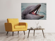 Load image into Gallery viewer, Canvas print Mealtime for a dolphin