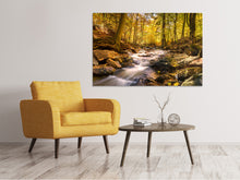 Load image into Gallery viewer, Canvas print Real nature beauty