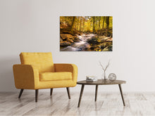 Load image into Gallery viewer, Canvas print Real nature beauty