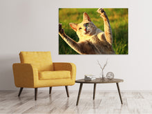 Load image into Gallery viewer, Canvas print Show the claws!
