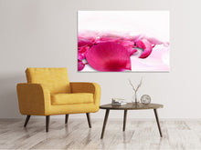 Load image into Gallery viewer, Canvas print Rose petals in pink 3
