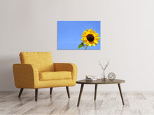 Load image into Gallery viewer, Canvas print Sunflower with blue sky